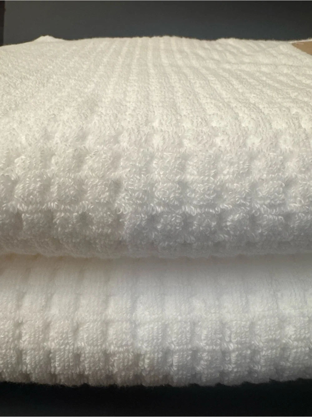 2pc ECOEXISTENCE Oversized Quick Dry 100% Cotton Bath Towel Set - White
